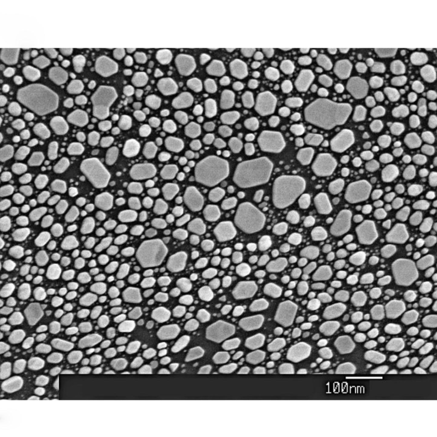 AGS168 – Gold-On-Carbon SEM Resolution Test Specimen on Pin Stub