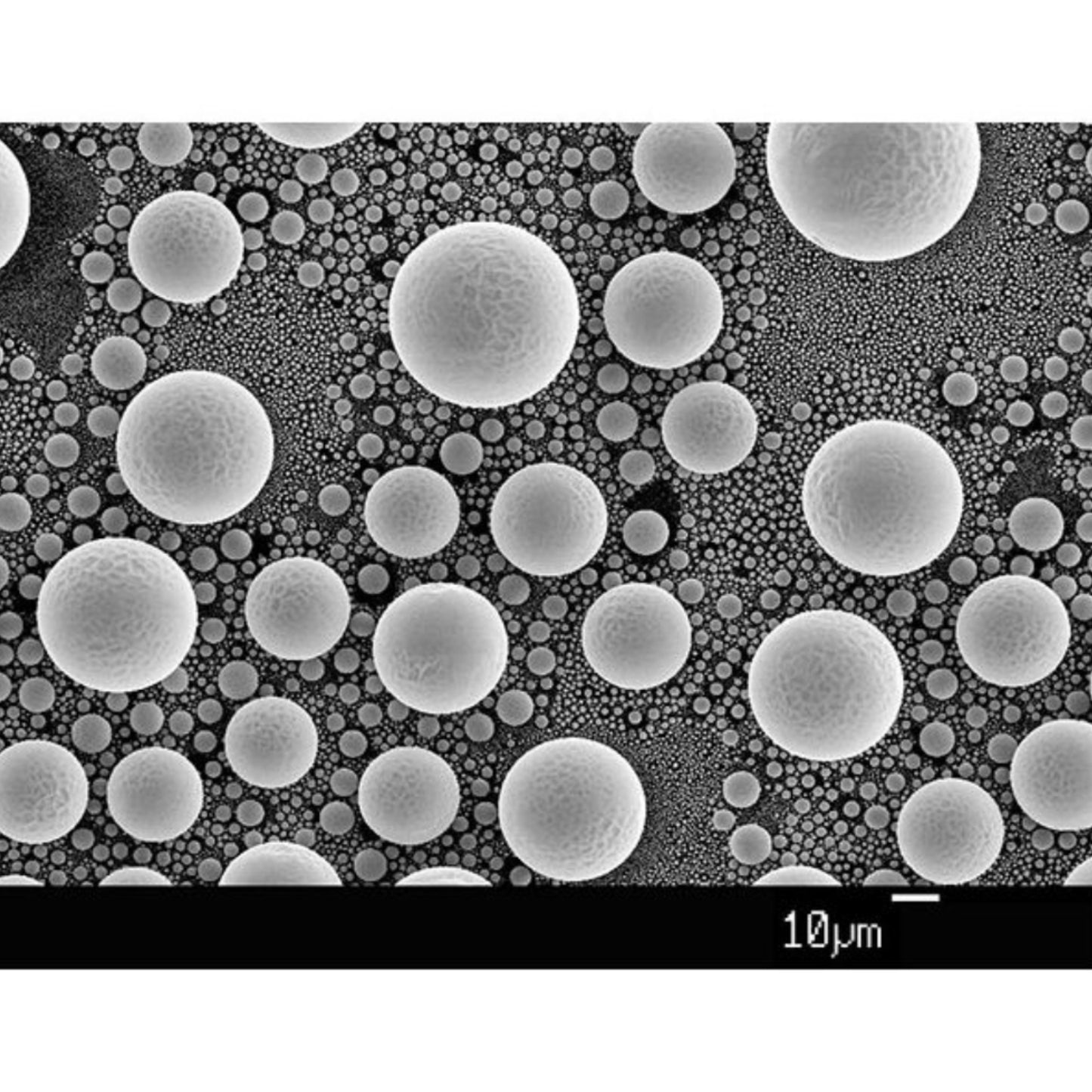 AGS1937 – Universal Tin on Carbon Specimen on Pin Stub